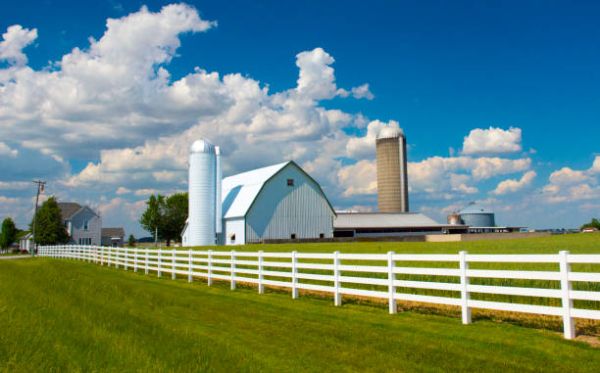 Alix Farming Co. Ltd. - Farms & Ranches in Alix, Alberta